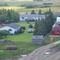 Younker Cattle Co.