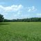 Field off of Hollis Street