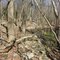 Massive field debris wall