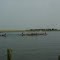 Dragon Boat Raceing, Tunde Andeniran, The Integrand News