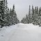Ice Road in the Oil Sands