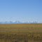 South on Highway 783 looking west towards the Canadian Rockies