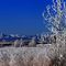 Frosty January