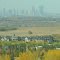 Downtown Calgary From Afar And Autumn Gold Sep '12