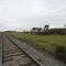 Looking north down the CP Rail Tracks at Kirkcaldy, Alberta