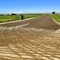 Freshly Oiled Road