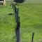 Prairie Fence Line