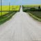 Long Road East