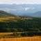 Summer In The Highwood
