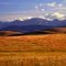 Foothills West Of Longview