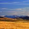 West Of The Cowboy Trail