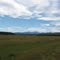 Fields just west of Longview, Aug '11