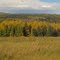 Gorgeous Colourful Autumn Foothills And Prairie West of Turner Valley AB And Calgary Sep '11