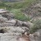 Steep Badlands Erosion Patterns In The South Saskatchewan River Badlands In Redcliff Near Medicine Hat AB May '12