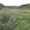 Golden Grassland Contrasting With Silver Sage Brush In The South Saskatchewan River Badlands In Redcliff Near Medicine Hat AB May '12