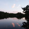 Nortons Pond