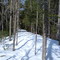 St. George Canal Berm