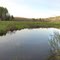Pettengil Stream, Appleton, Maine