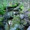 Stream, Bald Mountain Trail