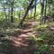 Bald Mountain trail, Camden, Maine