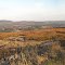 Appleton Ridge panorama