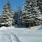 alma qc. canada