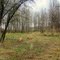 A Tranquil Checkpoint in the Green, Gorgeous Forest in Blackfoot Recreation Area East of Edmonton AB
