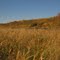 Northward Shifting Vegetation/Climate Zones - Prairie Grasslands Where Bennett Lake Once Stood At The Strathcona Wilderness Centre, East of Edmonton Sep '10