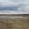 The Receded Waters Of Antler Lake In Spring Naturally Framed East of Edmonton And Sherwood Park AB May '11