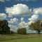 Greenway Trail