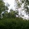 Outdoor Adventures - Wooded area in campsites