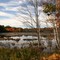 Muskoka fall