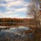 Autumn Muskoka Ontario Ca.