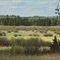 Golden Rangelands Northeast of Smoky Lake, Alberta May '10