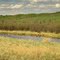 The Gorgeous, Serene Valley Along White Earth Creek Near Smoky Lake AB Northwest of Edmonton May '10