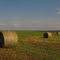 Hay Bales And Golden Prairie Near Smoky Lake AB, Northeast of Edmonton Aug '10