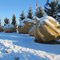 Textured Shadows, Snow And Sun At The World's Largest Pumpkins In Winter, Smoky Lake, Alberta Dec '10