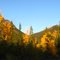 Golden BC in Fall