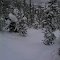Kicking Horse