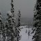 Feuz Bowl