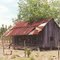 weathered abandoned board n' batton cracker shack, rural Lake County Fla (5-1999) 2