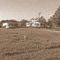 Old Florida Farm