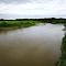Pembina River south