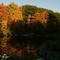 Autumn trees at the Jock River