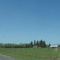 Cows near Ottawa