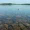 Snorkeling at Big MushaMush Lake, Nova Scotia Looking at Bass