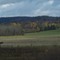Rowanwood Road Field in Fall