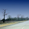 Palmyra , Ontario