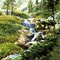 Alpine Stream near Panorama British Columbia, Canada