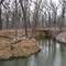 Burwalde Woods